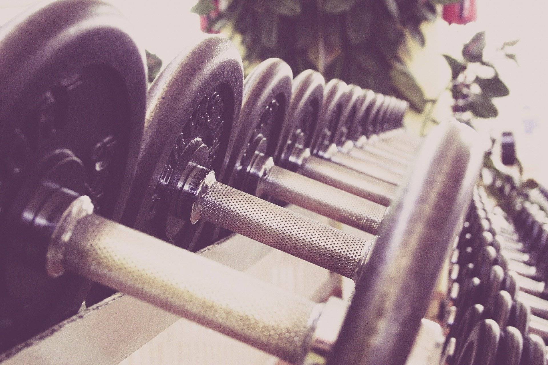 Somos AmeexFitness - Lideres en equipar y mantener gimnasios -  Ameexfitness .